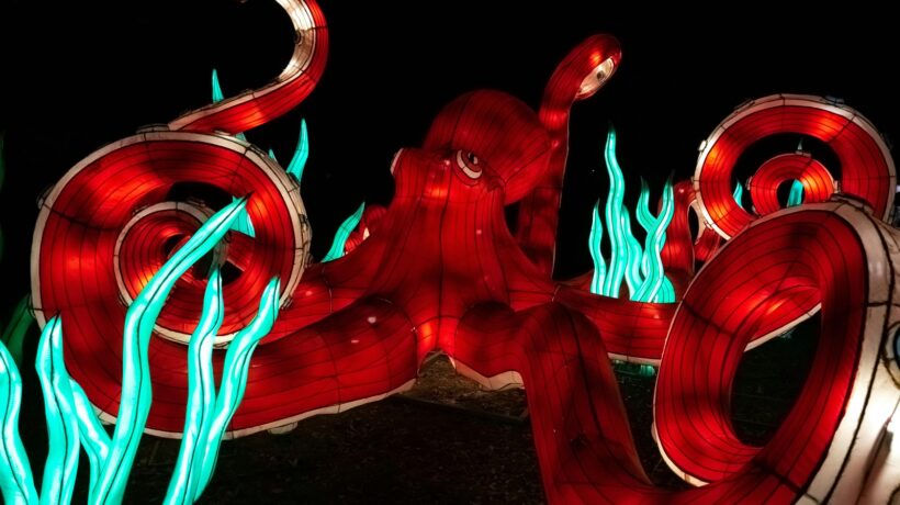 Alkohol a regenerácia: Stratégia minimalizmu namiesto absolútnej abstinencie