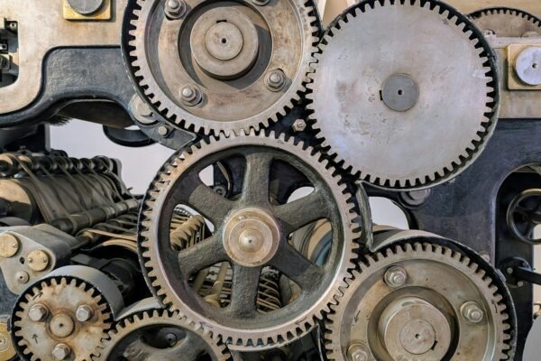 Biophilic design: Integrácia rastlín a prírodných materiálov do interiéru pre well-being